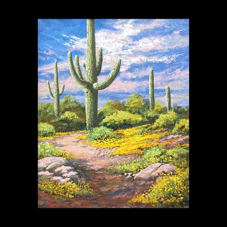 Saguaro National Monument